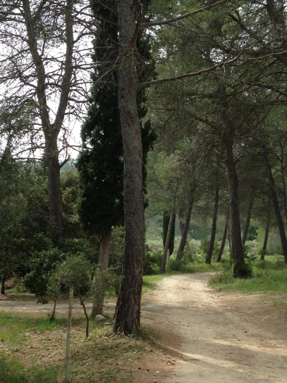 Cabane De La Leque Fontvieille Luaran gambar