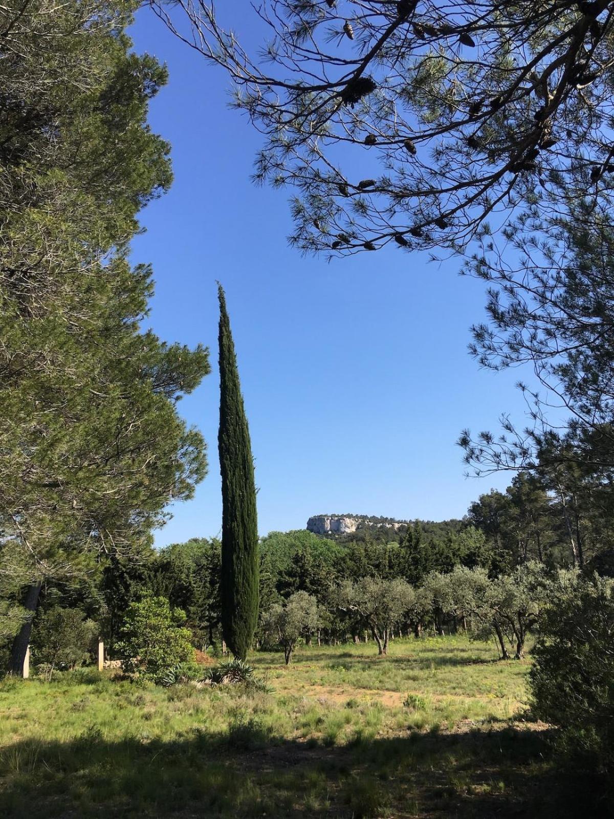 Cabane De La Leque Fontvieille Luaran gambar