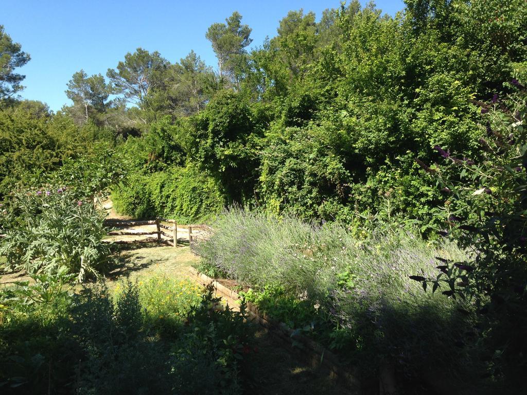 Cabane De La Leque Fontvieille Luaran gambar